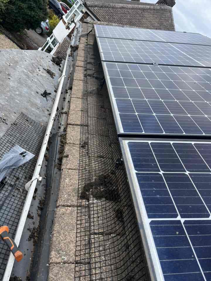 Nest Defend